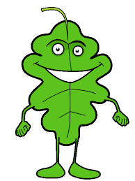 www.treetoolsforschools.org.uk graphic link