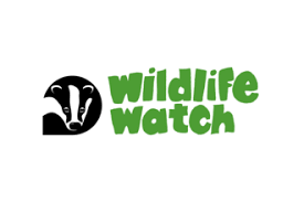 www.wildlifewatch.org.uk graphic link