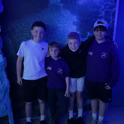 IMG1293